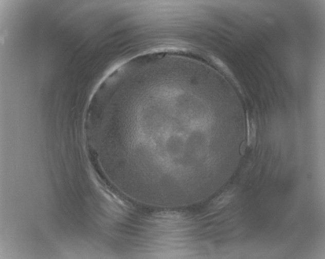 X0000061750435200512161721