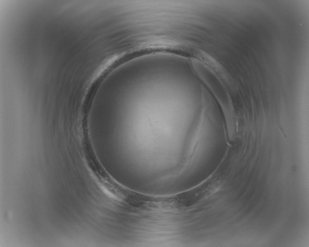 X0000061750436200512161721