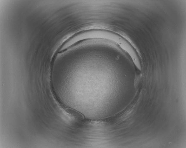 X0000061750437200512161721