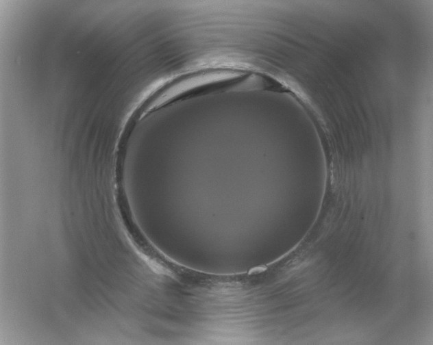 X0000061750438200512161721