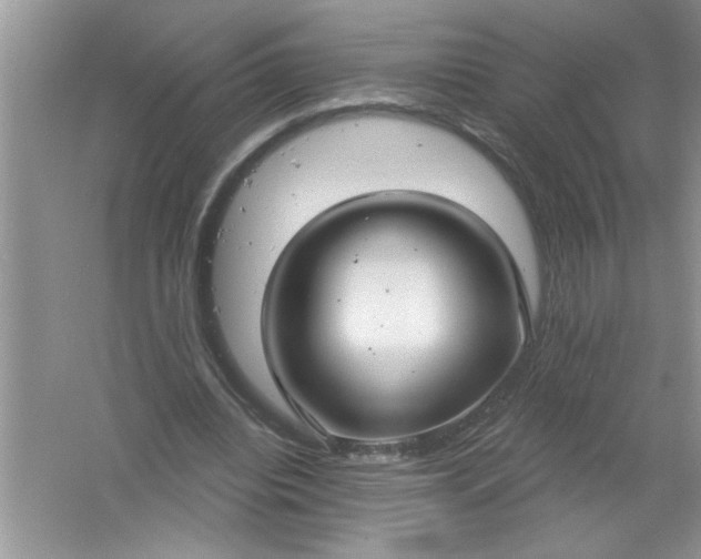 X0000061750440200512161721