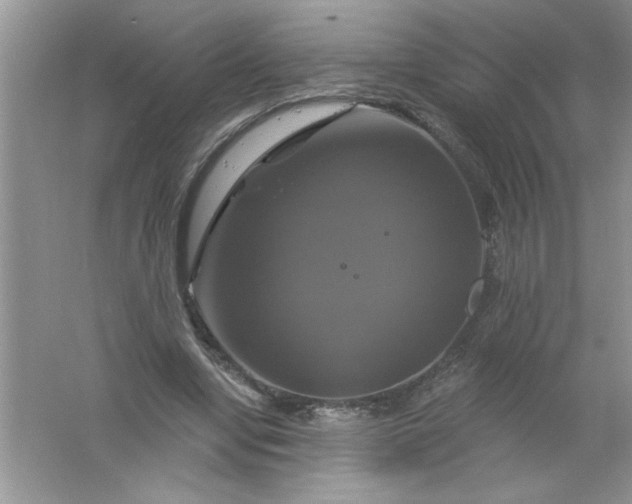 X0000061750442200512161721