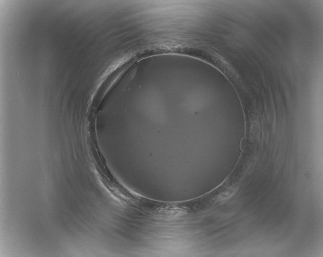 X0000061750443200512161721