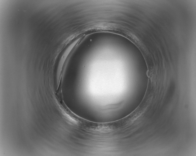 X0000061750445200512161721