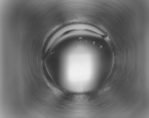 X0000061750446200512161721