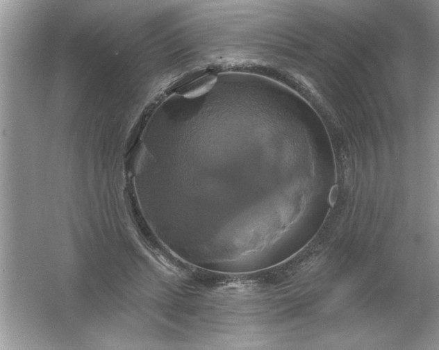 X0000061750447200512161721