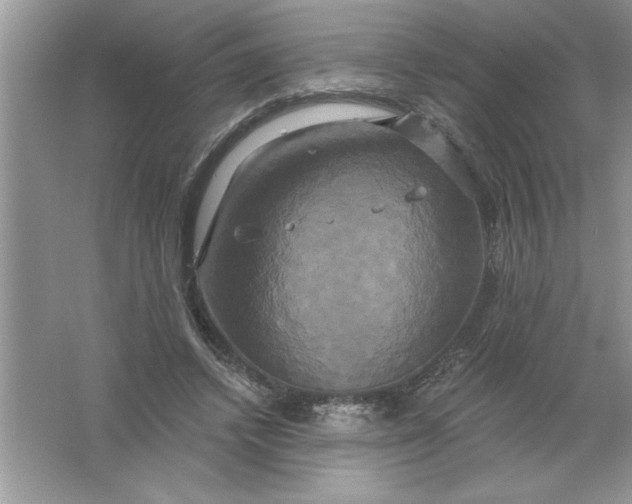 X0000061750448200512161721