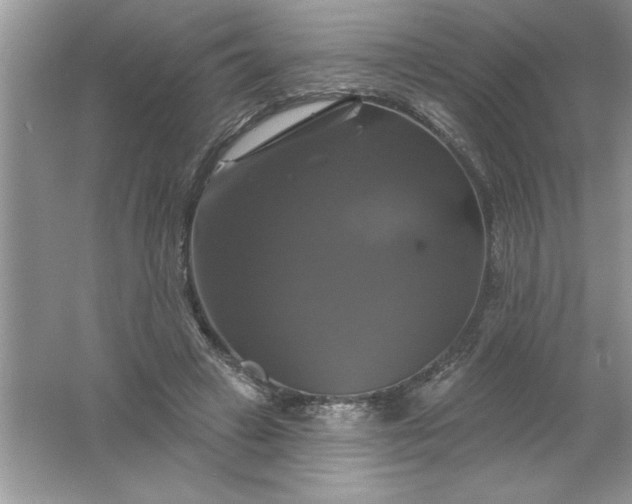 X0000061750449200512161721