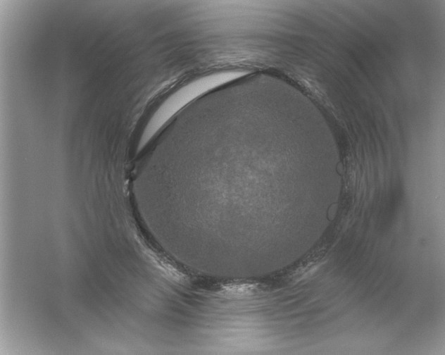 X0000061750450200512161721