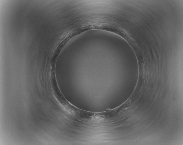 X0000061750451200512161721