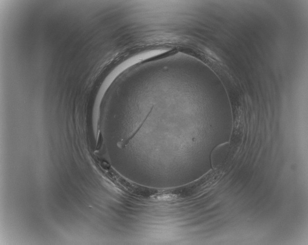 X0000061750452200512161721