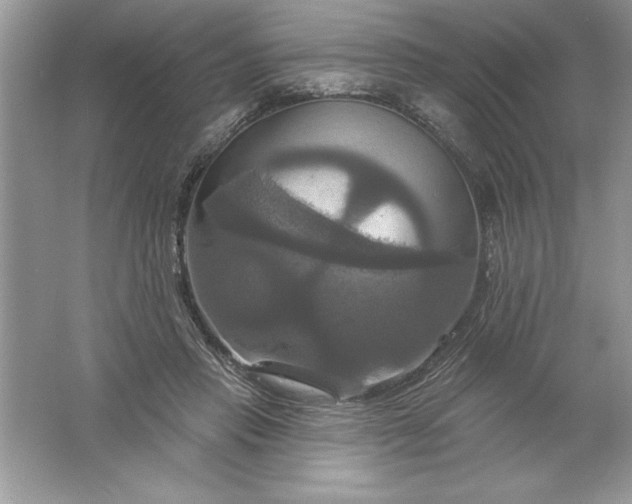 X0000061750453200512161721