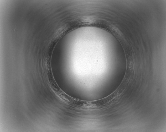 X0000061750455200512161721