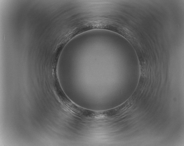 X0000061750456200512161721