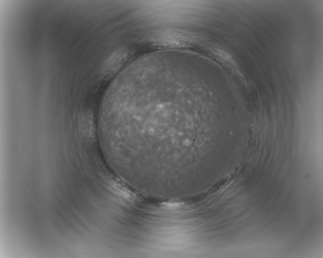 X0000061750457200512161721