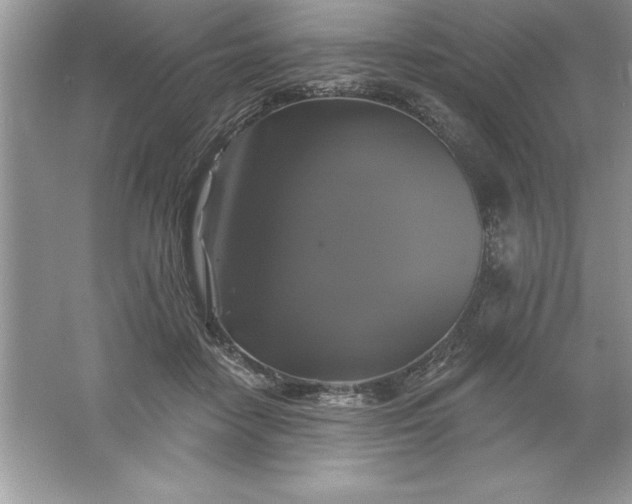 X0000061750458200512161721