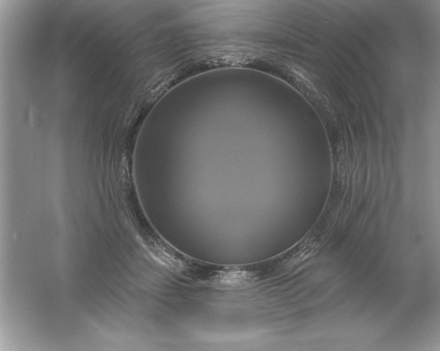 X0000061750459200512161721