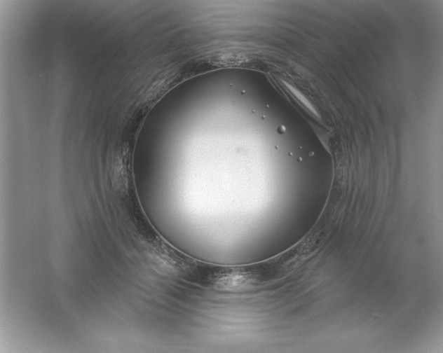 X0000061750460200512161721