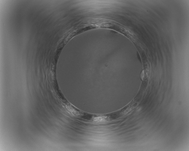 X0000061750461200512161721