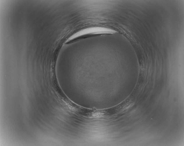 X0000061750462200512161721