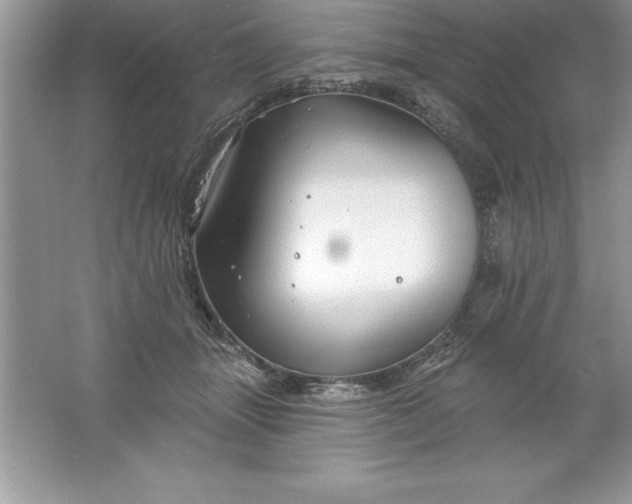 X0000061750463200512161721