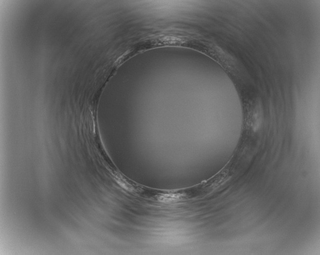 X0000061750465200512161721