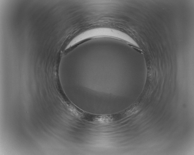 X0000061750466200512161721