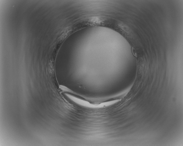 X0000061750467200512161721