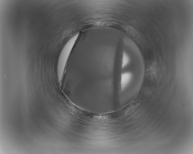 X0000061750469200512161721