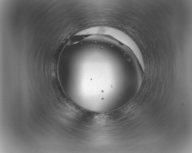 X0000061750470200512161721