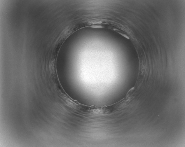 X0000061750473200512161721