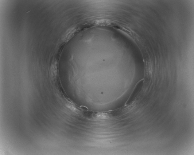 X0000061750475200512161721