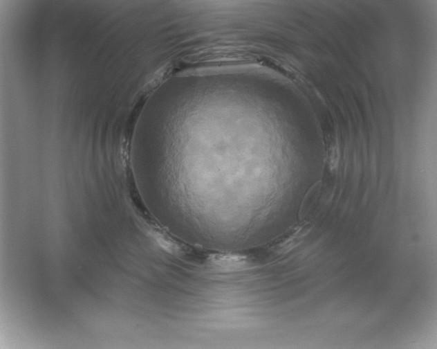 X0000061750476200512161721