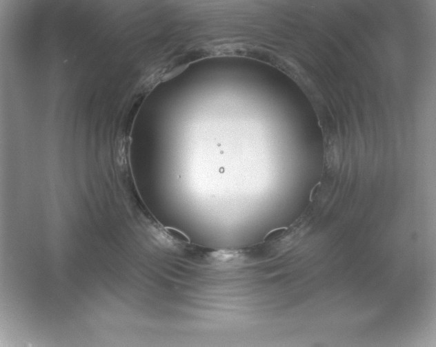 X0000061750477200512161722