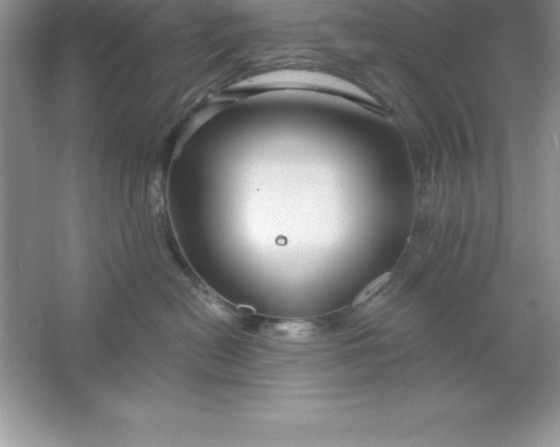 X0000061750478200512161722