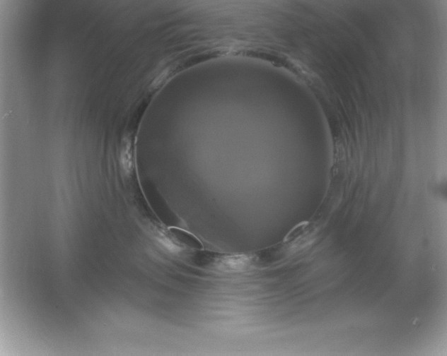 X0000061750479200512161722