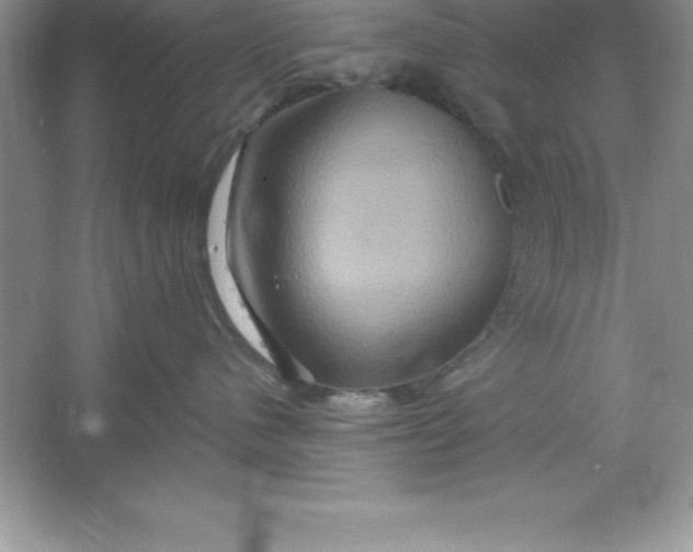 X0000061750480200512161722