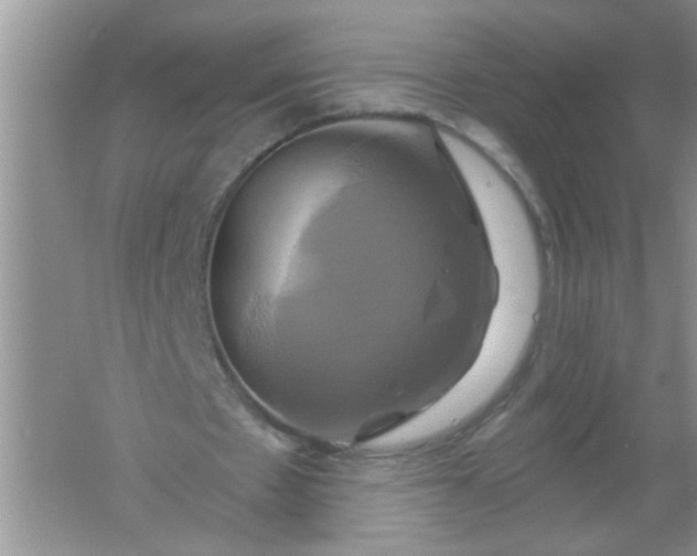 X0000061750481200512161721