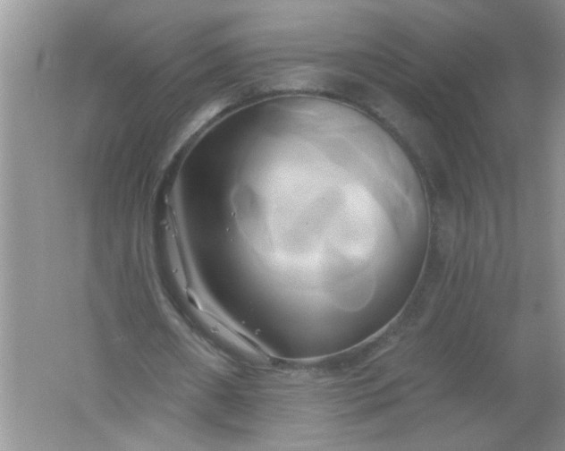 X0000061750482200512161721