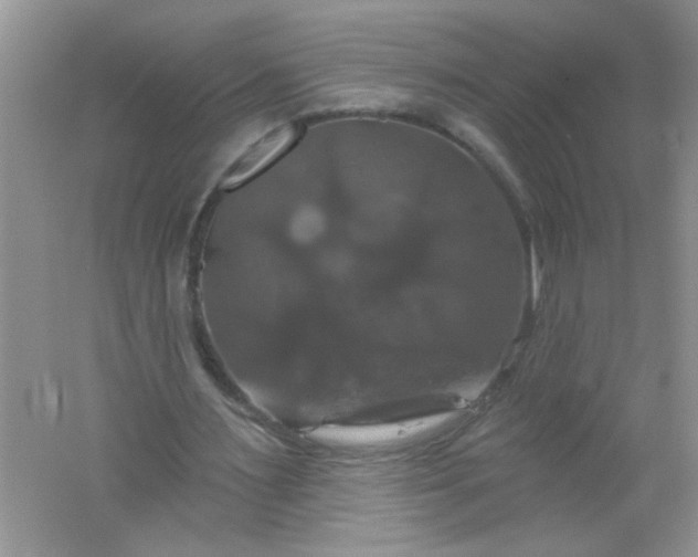 X0000061750483200512161721