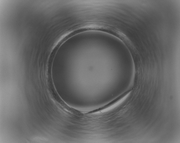 X0000061750484200512161721