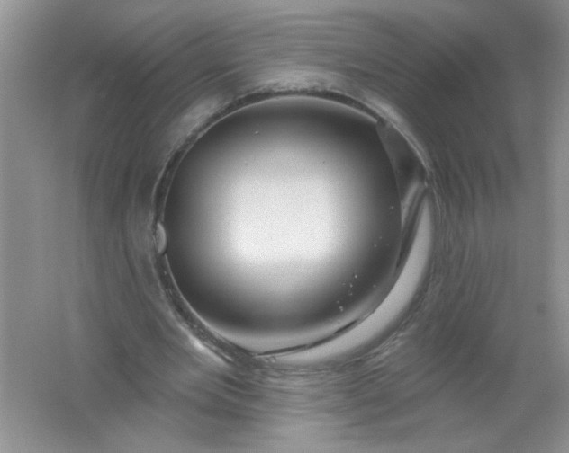 X0000061750485200512161721