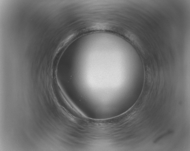 X0000061750486200512161721