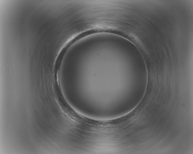 X0000061750488200512161721