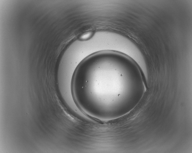 X0000061750489200512161721