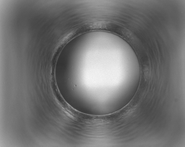 X0000061750490200512161721