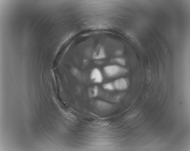 X0000061750491200512161721