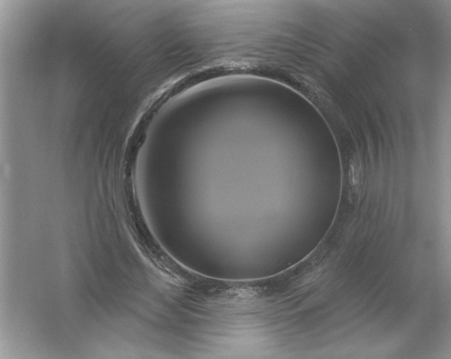 X0000061750492200512161721