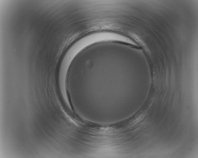 X0000061750493200512161721