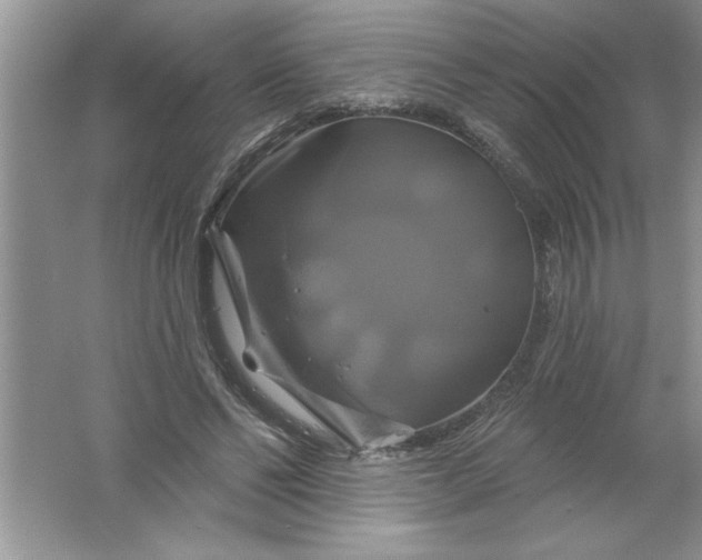 X0000061750494200512161721